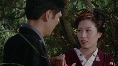 Thế Giới Kỹ Nữ (The World of Geisha)